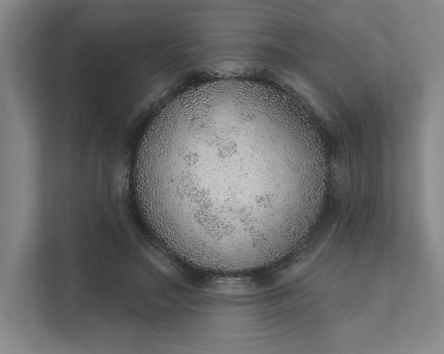 X0000111940499200908101205