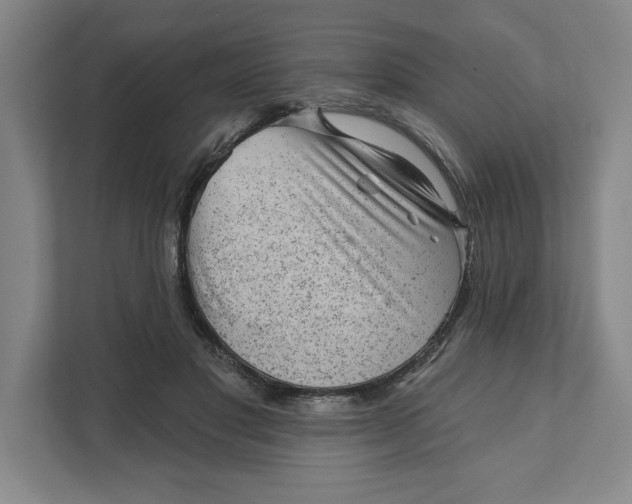 X0000111940501200908101205