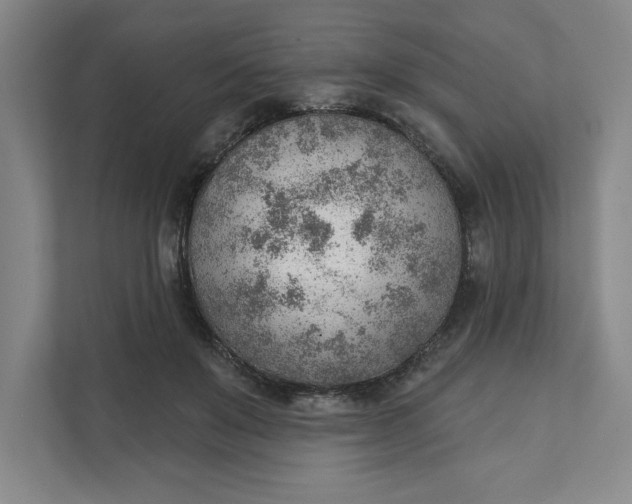 X0000111940503200908101205