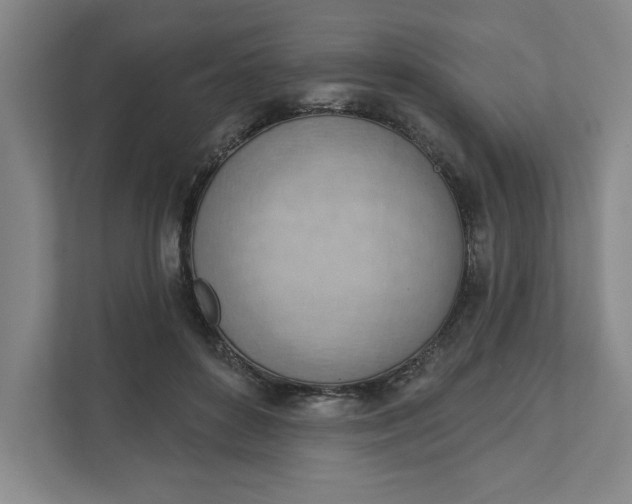 X0000111940504200908101205