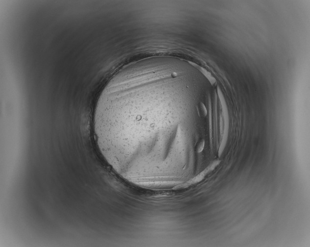 X0000111940505200908101205