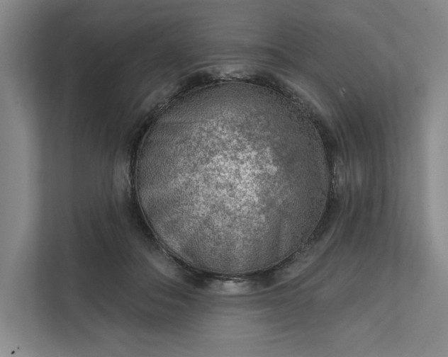 X0000111940506200908101205