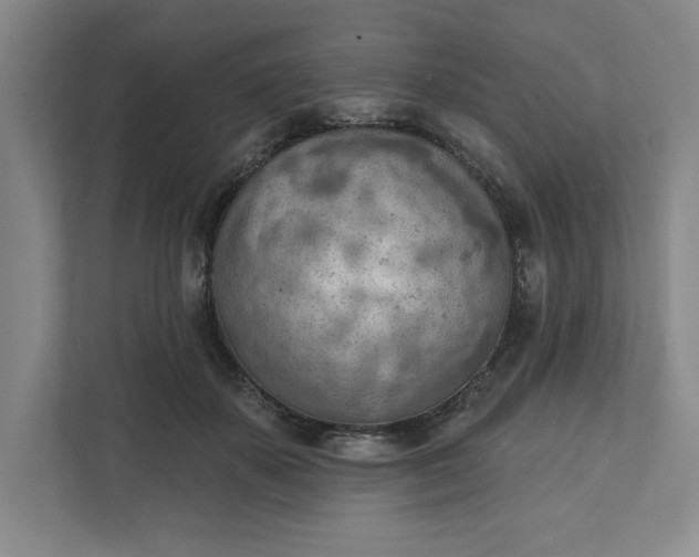 X0000111940507200908101205