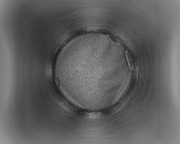 X0000111940508200908101205