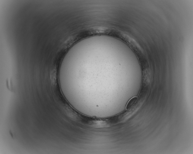 X0000111940509200908101205