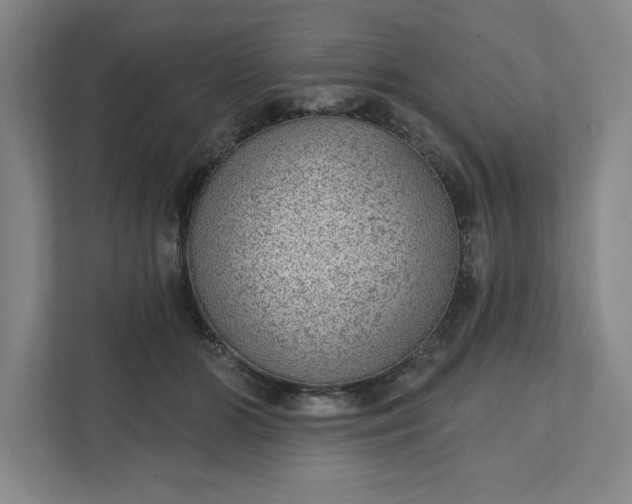 X0000111940510200908101205