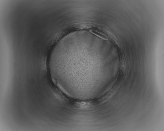 X0000111940512200908101205