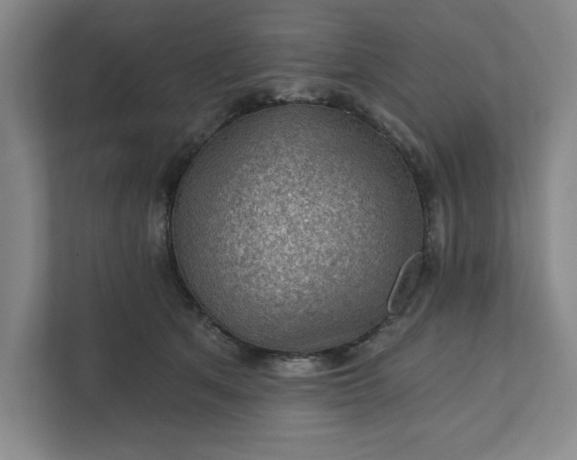 X0000111940513200908101205