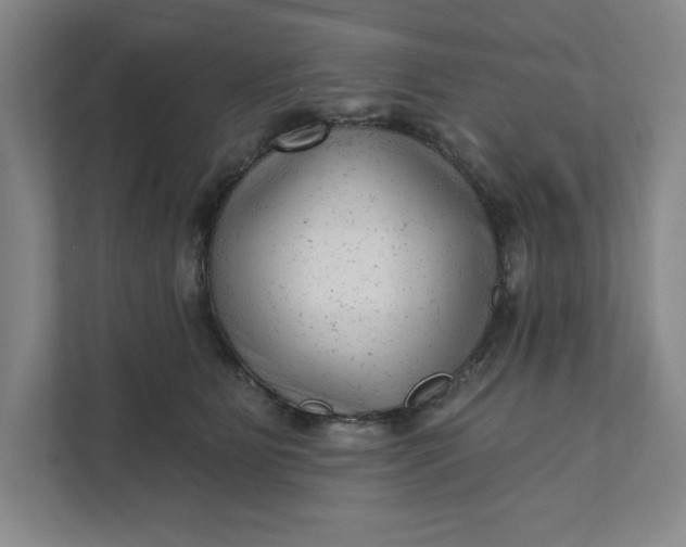 X0000111940515200908101205