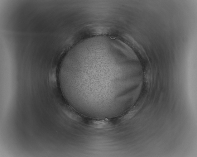 X0000111940516200908101205