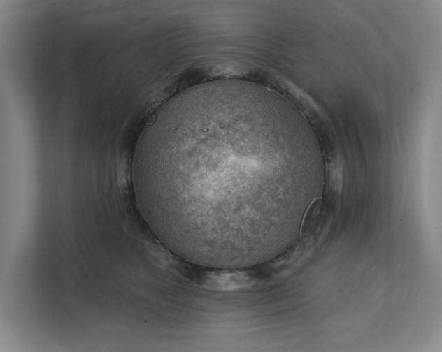 X0000111940517200908101205