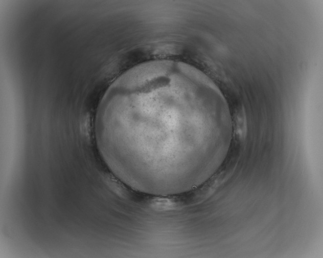 X0000111940519200908101205