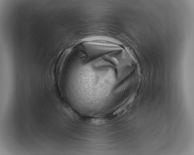 X0000111940520200908101205