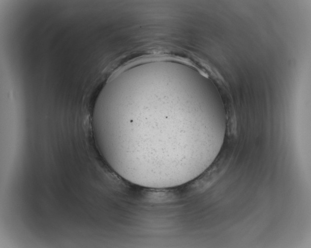 X0000111940521200908101205