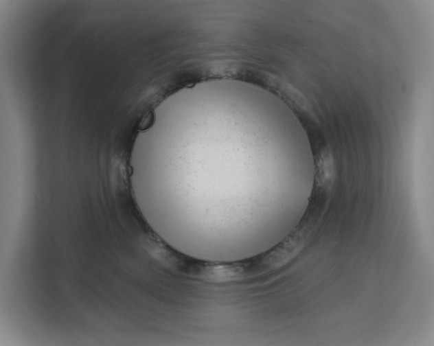 X0000111940522200908101205