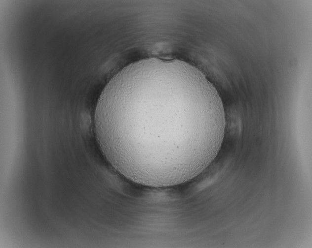 X0000111940523200908101205