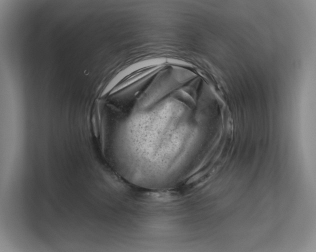 X0000111940524200908101205