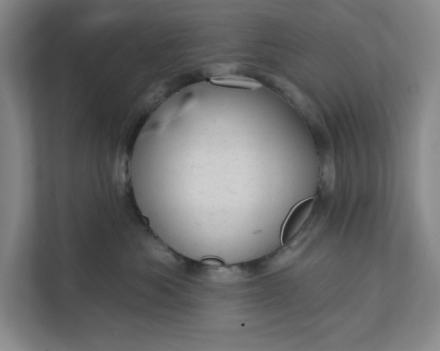 X0000111940525200908101205