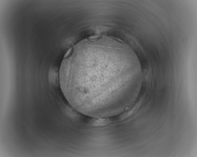 X0000111940527200908101204