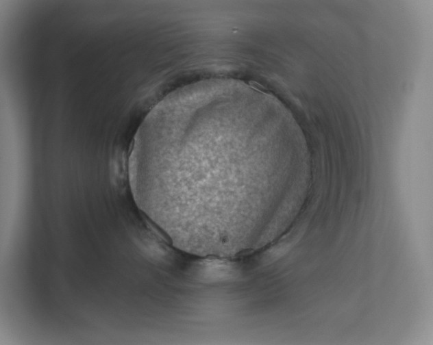 X0000111940528200908101204