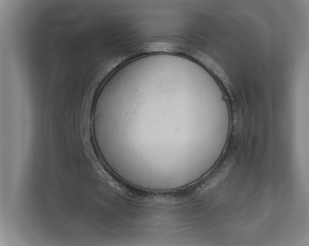 X0000111940529200908101204