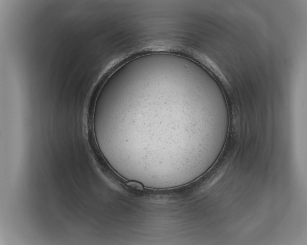 X0000111940530200908101204