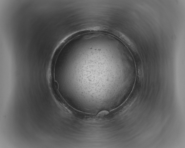 X0000111940532200908101204