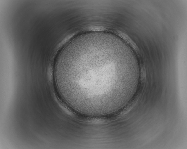 X0000111940533200908101204