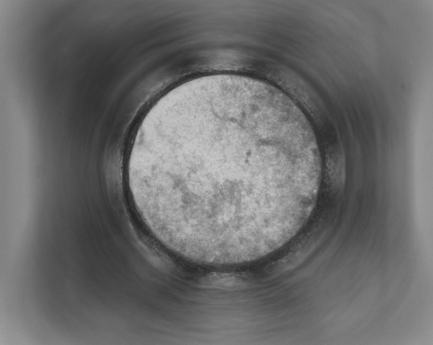 X0000111940534200908101204