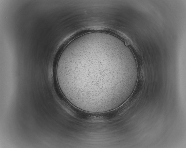 X0000111940535200908101204