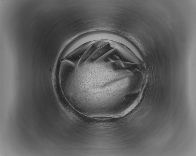 X0000111940536200908101204