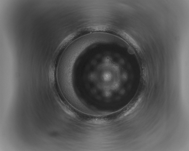 X0000111940537200908101204