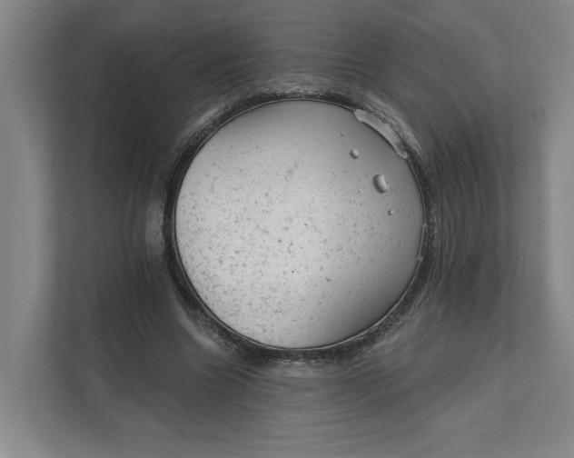 X0000111940538200908101204