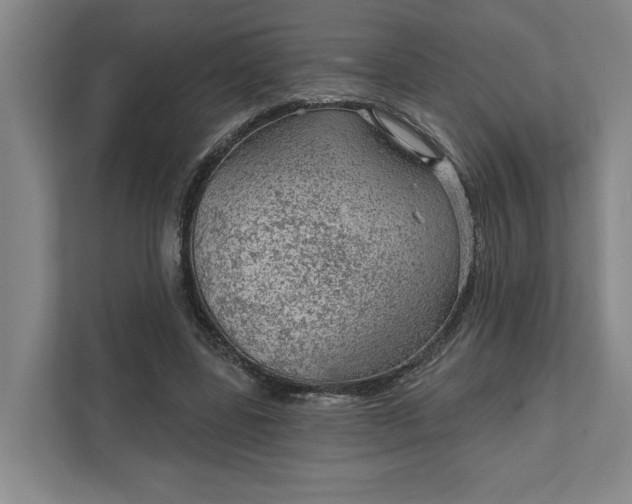 X0000111940539200908101204