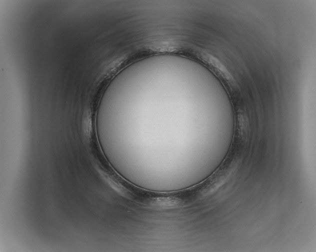 X0000111940541200908101204