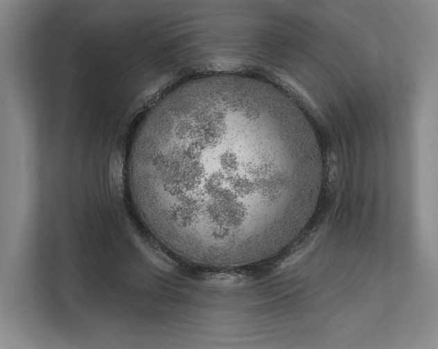 X0000111940542200908101204