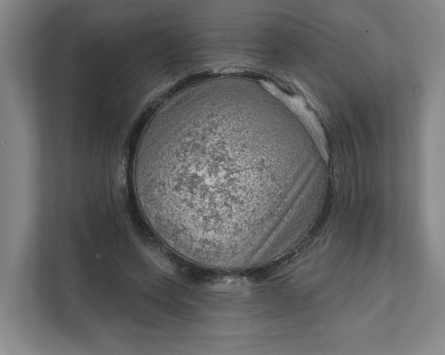 X0000111940543200908101204