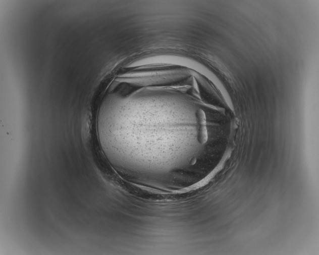 X0000111940544200908101204