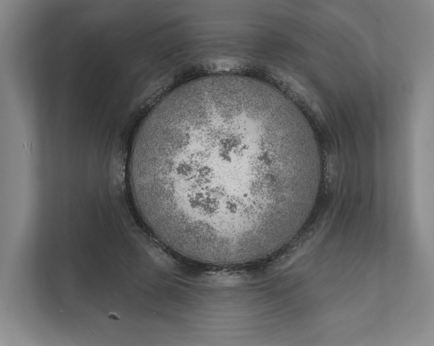 X0000111940545200908101204