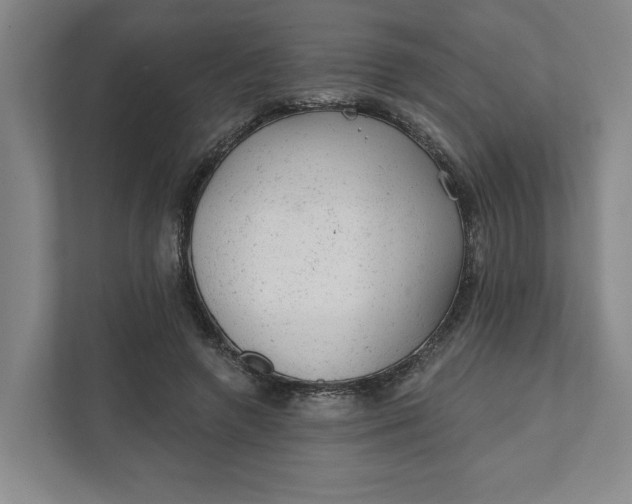 X0000111940546200908101204