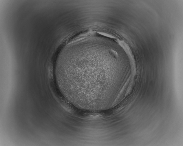 X0000111940547200908101204