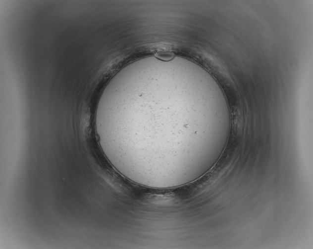 X0000111940548200908101204