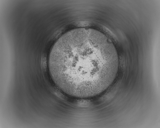 X0000111940549200908101204