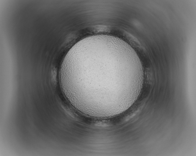 X0000111940550200908101204