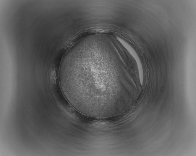 X0000111940551200908101204