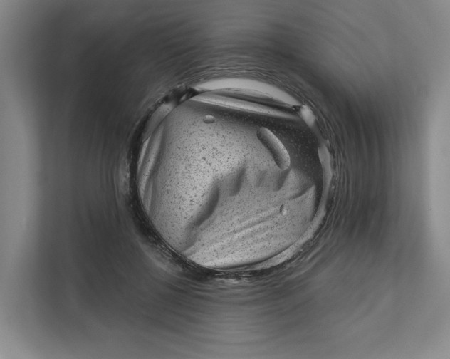 X0000111940552200908101204