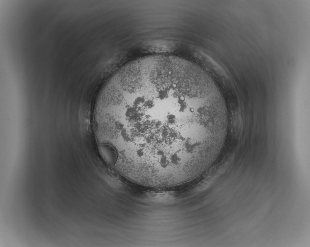 X0000111940553200908101204