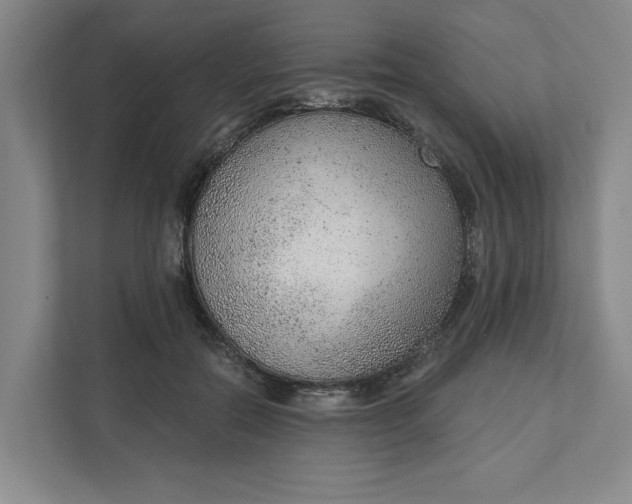 X0000111940554200908101204