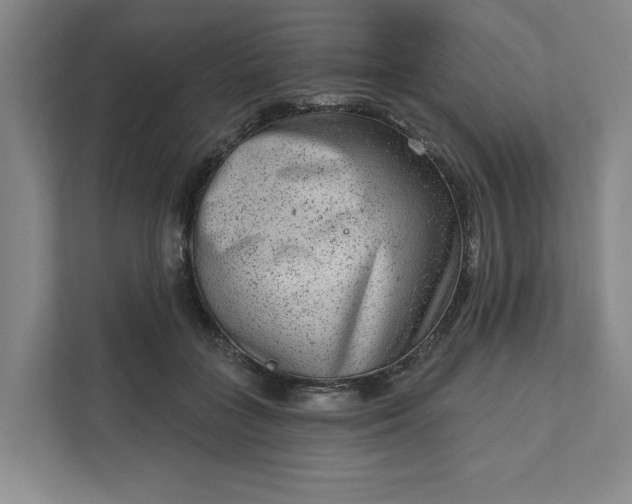 X0000111940555200908101204