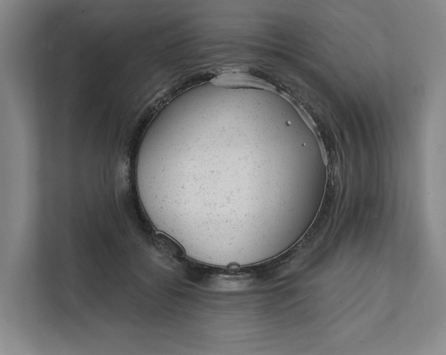 X0000111940556200908101204